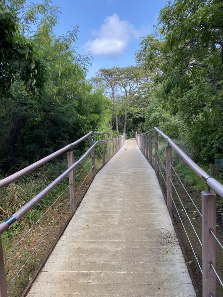 Cost of Footpath Construction in Reading
