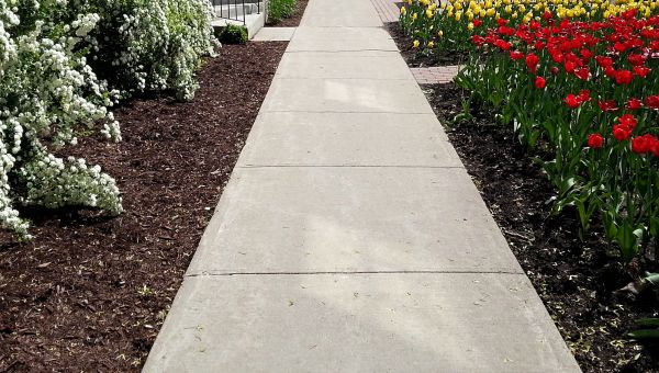 Cost of Sidewalk Slab Replacement in Reading